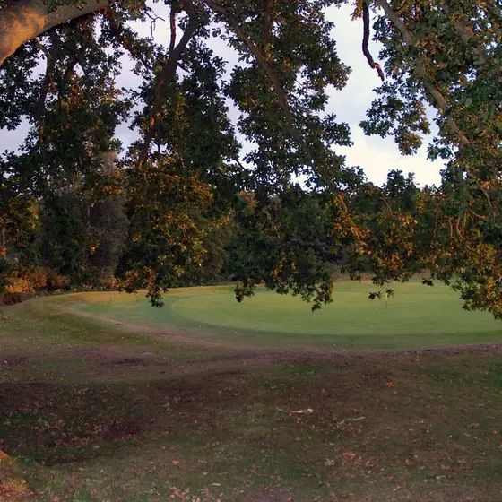 A green ringed by trees